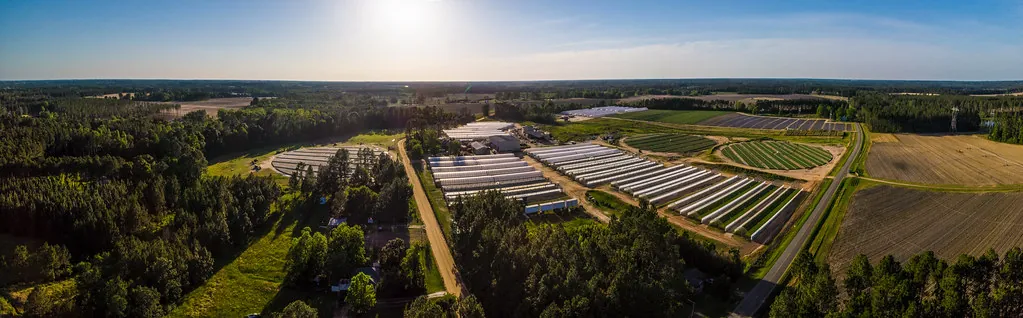 Vista panorámica de campo agrícola cultivado